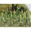 Bachmann Industries Corn Stalks, 1" Tall (30) -Bachmann Sales Shop BAC32501 A0 2PZIF8P9