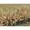 Bachmann Industries Dried Corn Stalks (30) -Bachmann Sales Shop BAC32503 A0 XR35EEBB