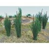 Bachmann Industries Cattails, 3/4" Tall (24) -Bachmann Sales Shop BAC32505 A0 KHWKP517